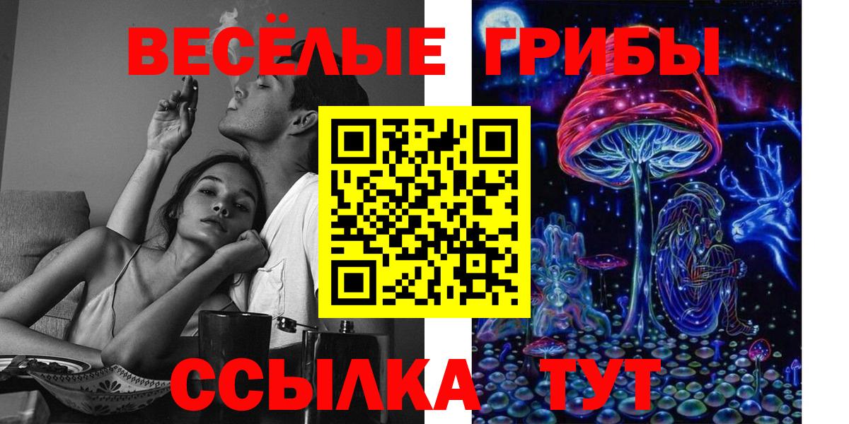 Галлюциногенные грибы Cubensis  Вход с VPN  Псилоцибиновые грибы Cubensis  Карабулак 