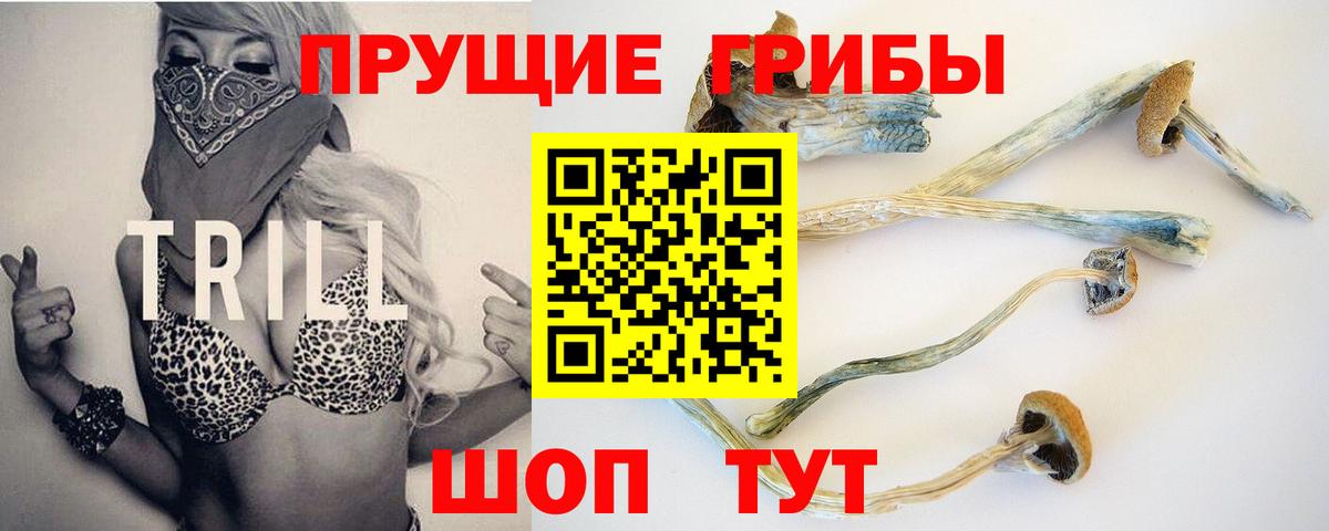 Галлюциногенные грибы Magic Shrooms Карабулак